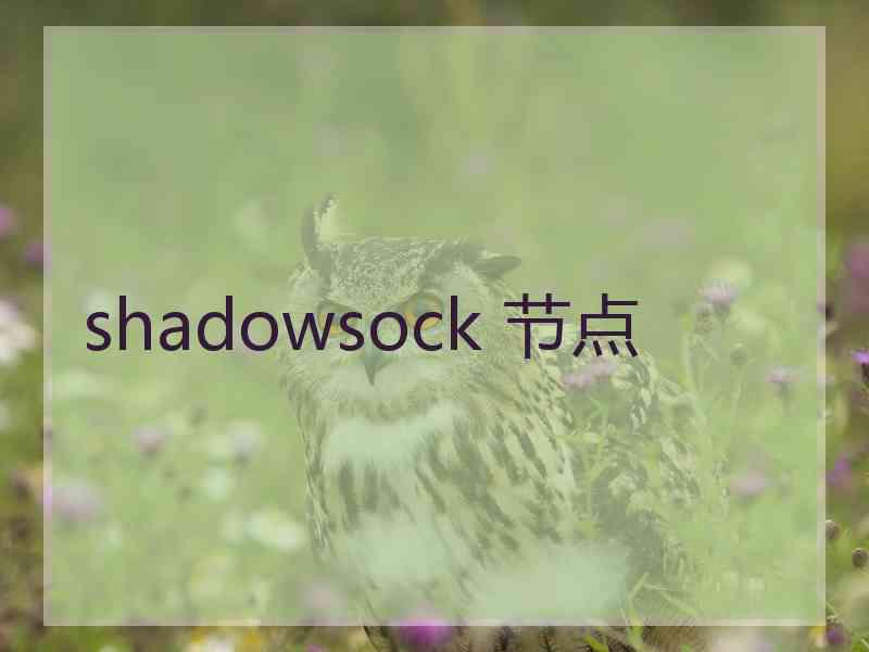 shadowsock 节点