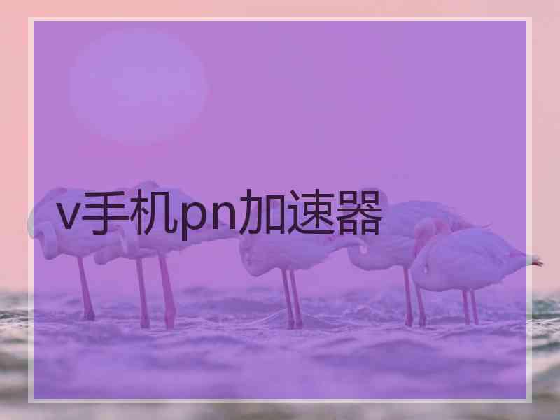 v手机pn加速器