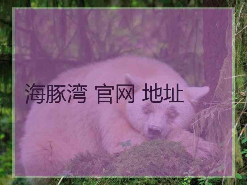 海豚湾 官网 地址