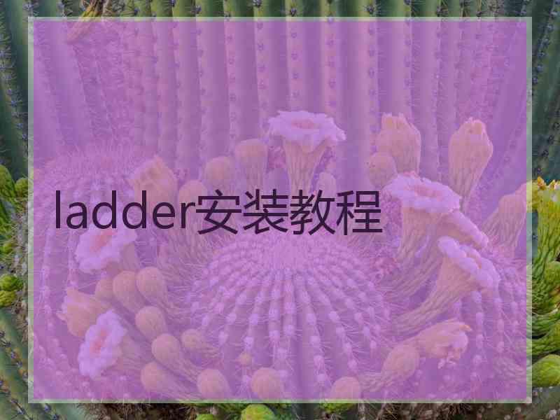 ladder安装教程