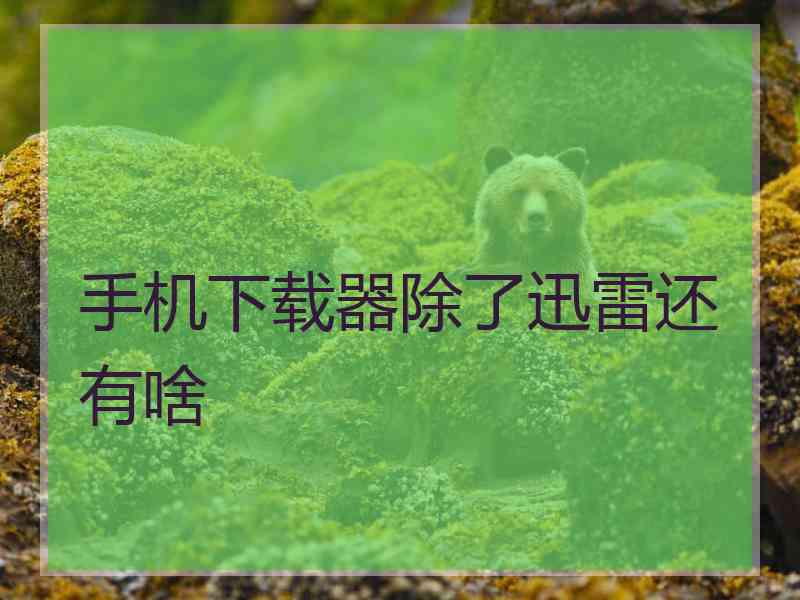 手机下载器除了迅雷还有啥