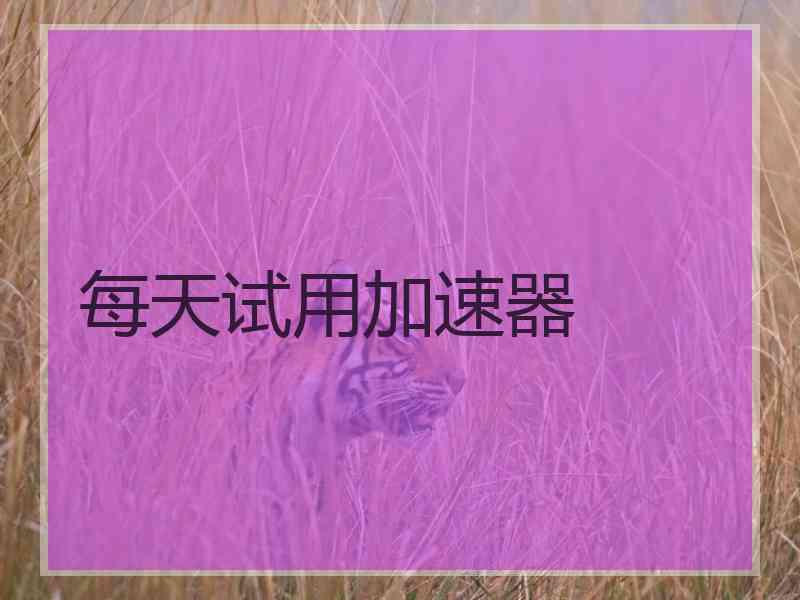 每天试用加速器