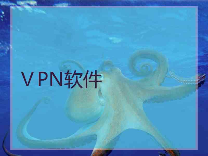 ⅤPN软件