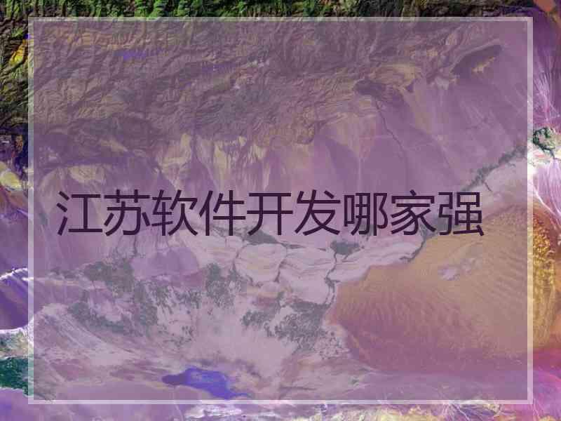 江苏软件开发哪家强