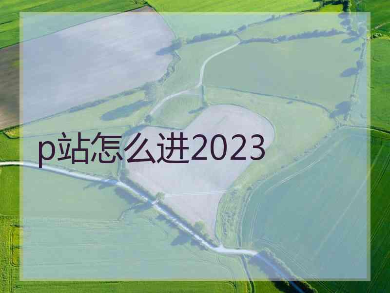 p站怎么进2023