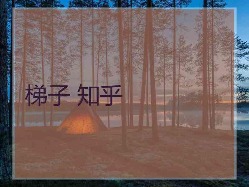 梯子 知乎