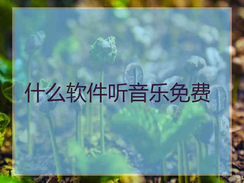 什么软件听音乐免费