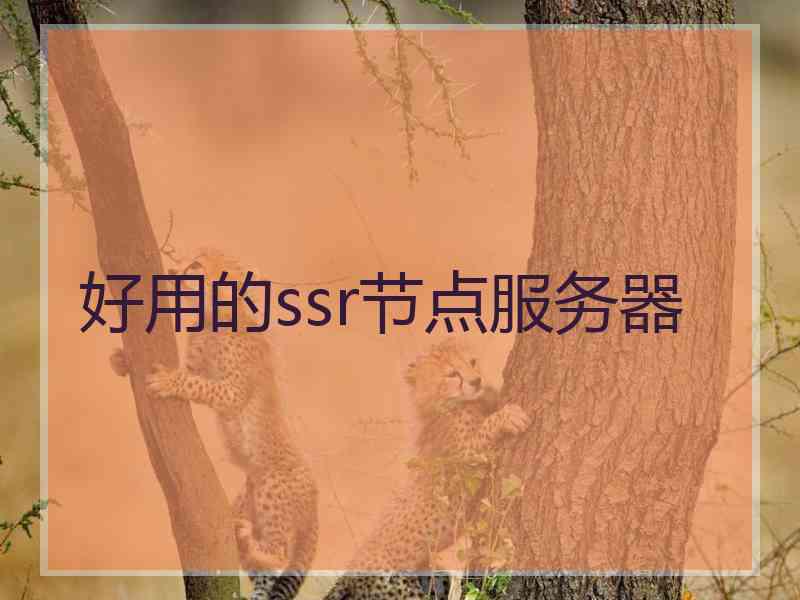好用的ssr节点服务器