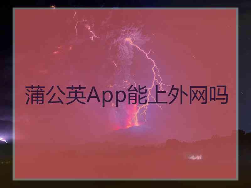 蒲公英App能上外网吗