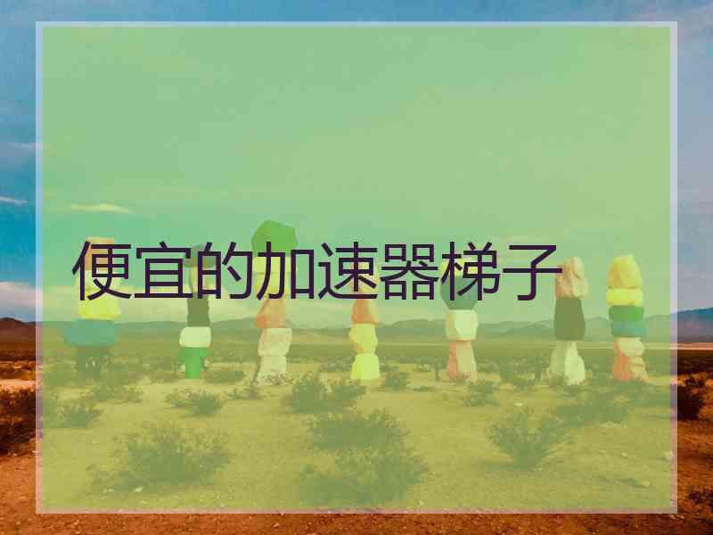 便宜的加速器梯子
