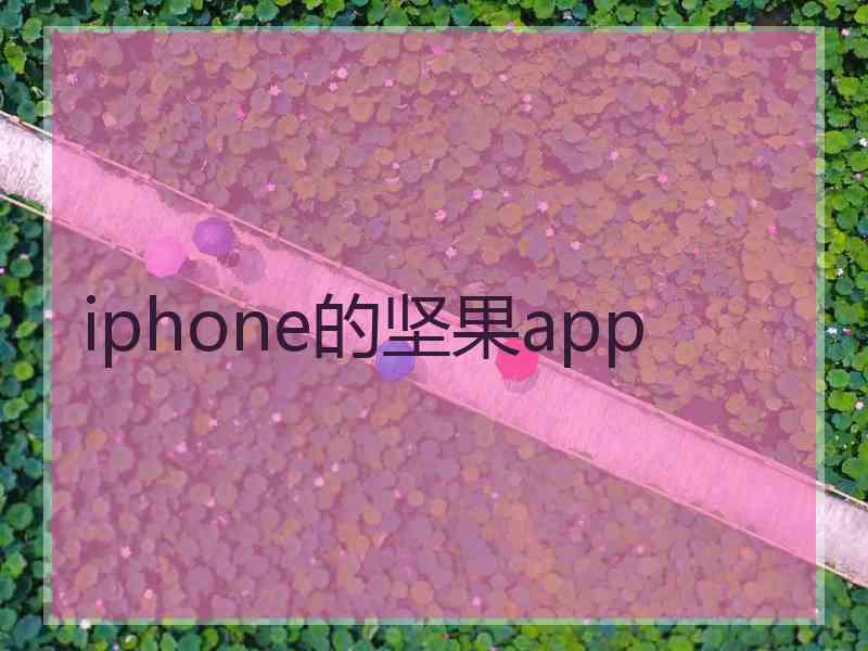 iphone的坚果app