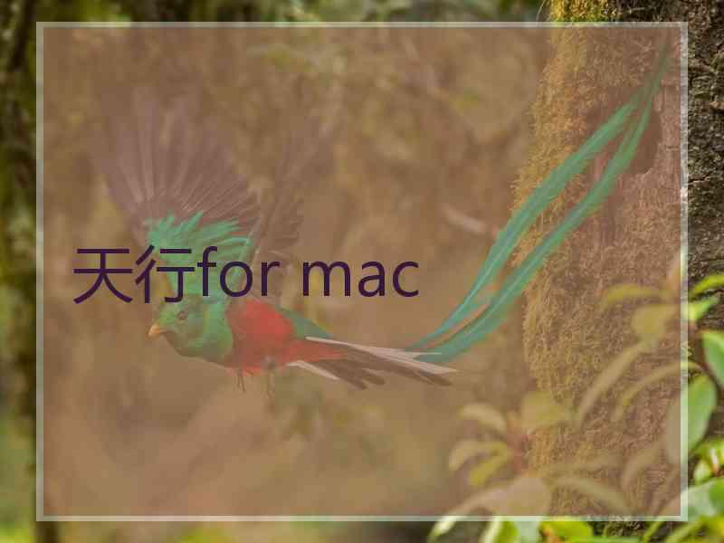 天行for mac