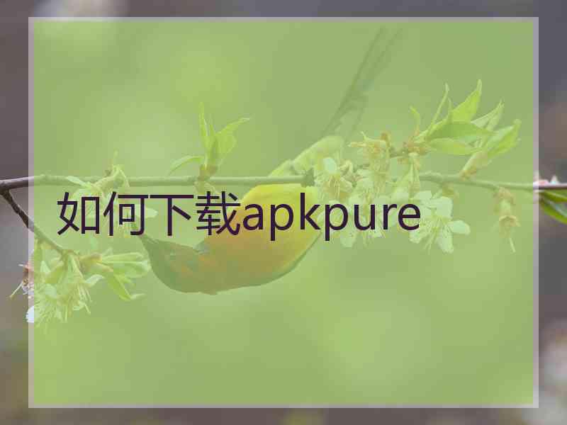 如何下载apkpure