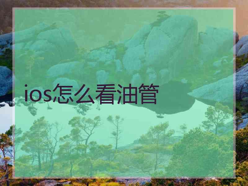 ios怎么看油管