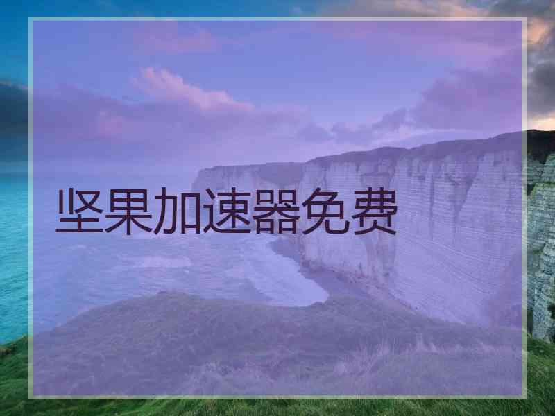 坚果加速器免费