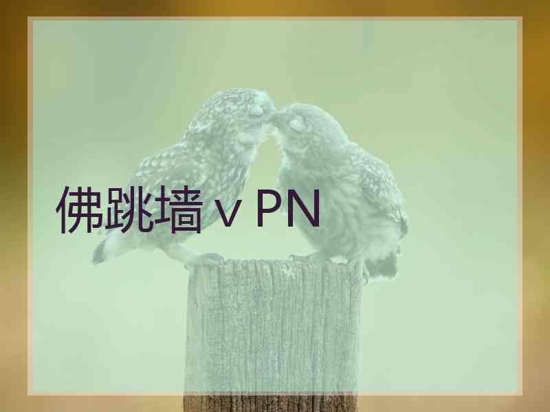 佛跳墙ⅴPN