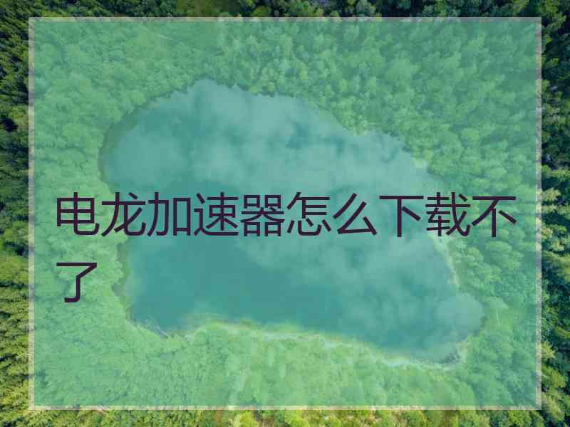 电龙加速器怎么下载不了