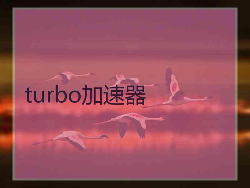 turbo加速器