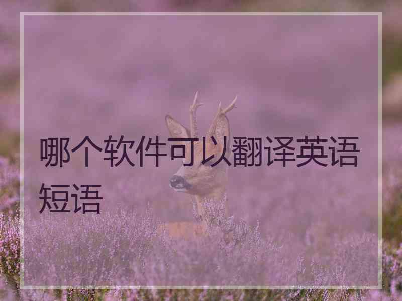 哪个软件可以翻译英语短语