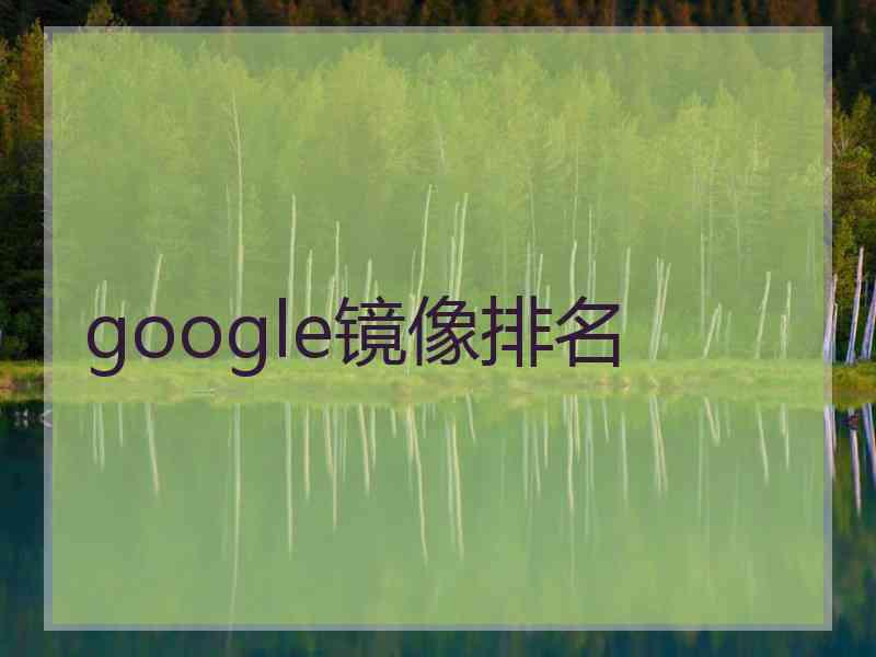google镜像排名