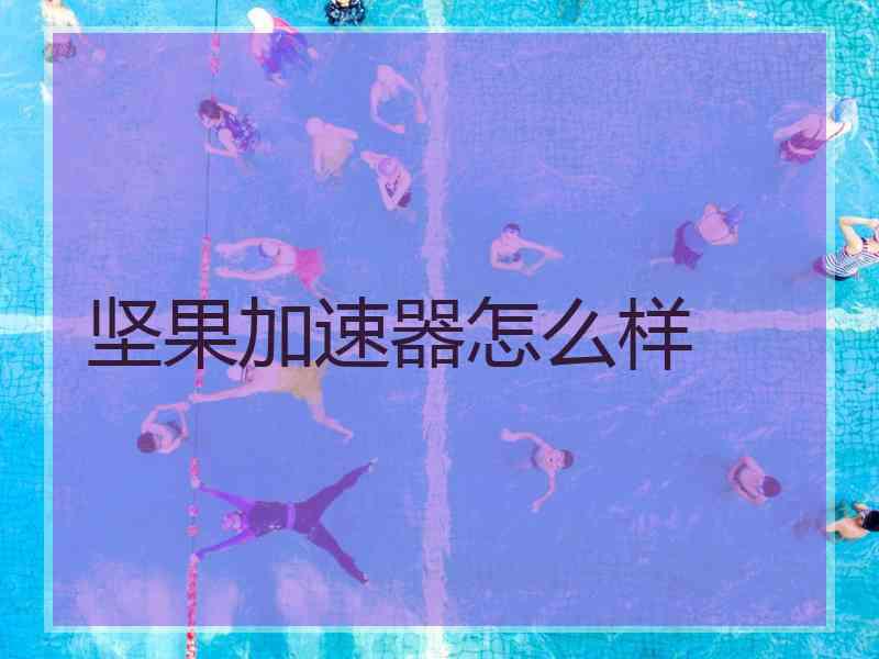 坚果加速器怎么样