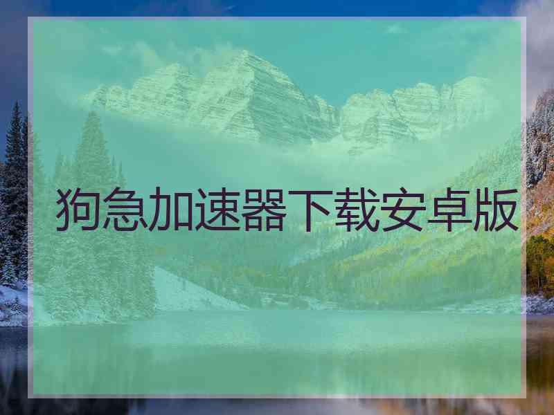 狗急加速器下载安卓版