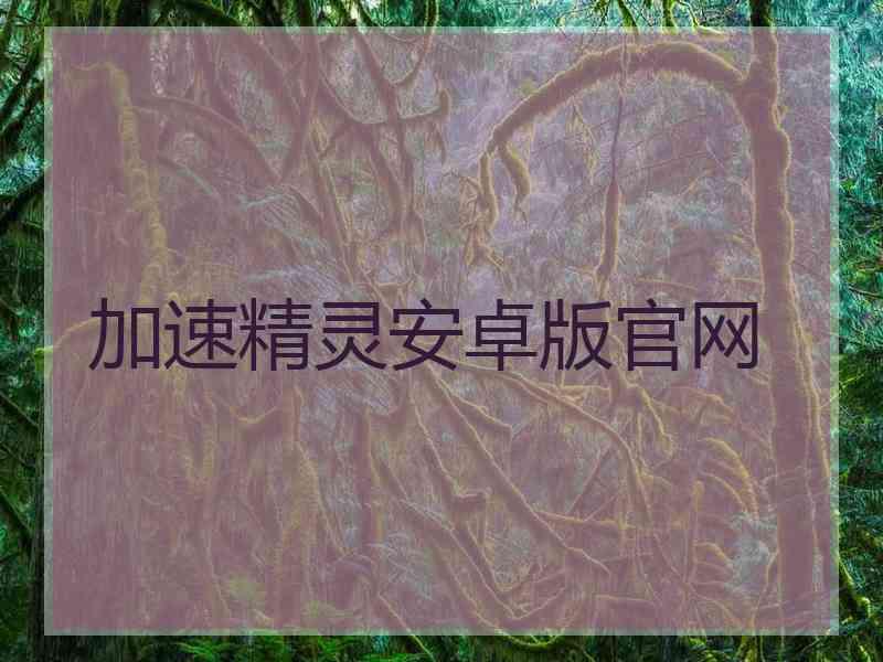 加速精灵安卓版官网