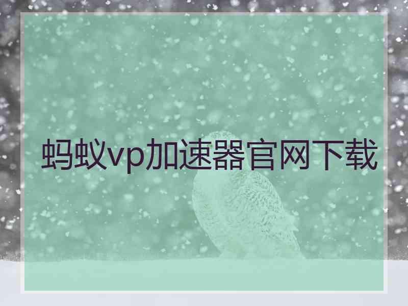 蚂蚁vp加速器官网下载