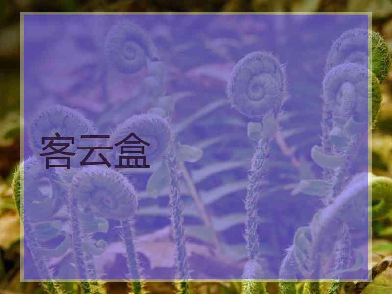 客云盒