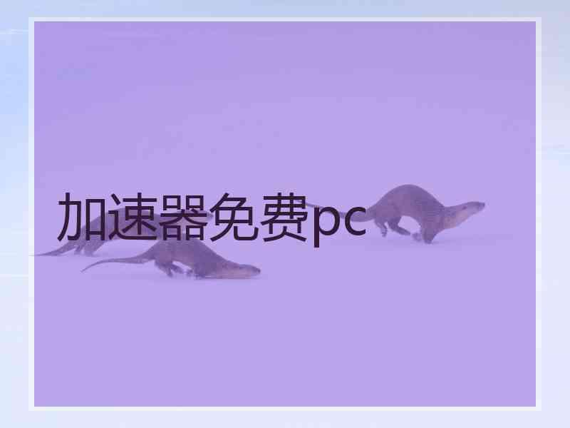加速器免费pc