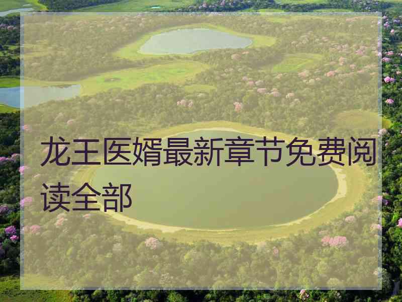 龙王医婿最新章节免费阅读全部
