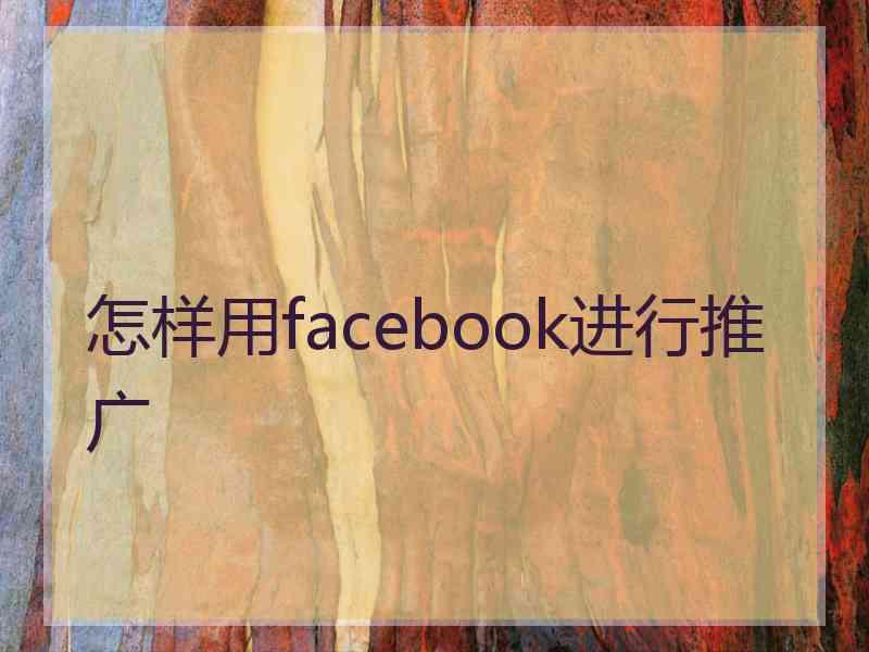 怎样用facebook进行推广