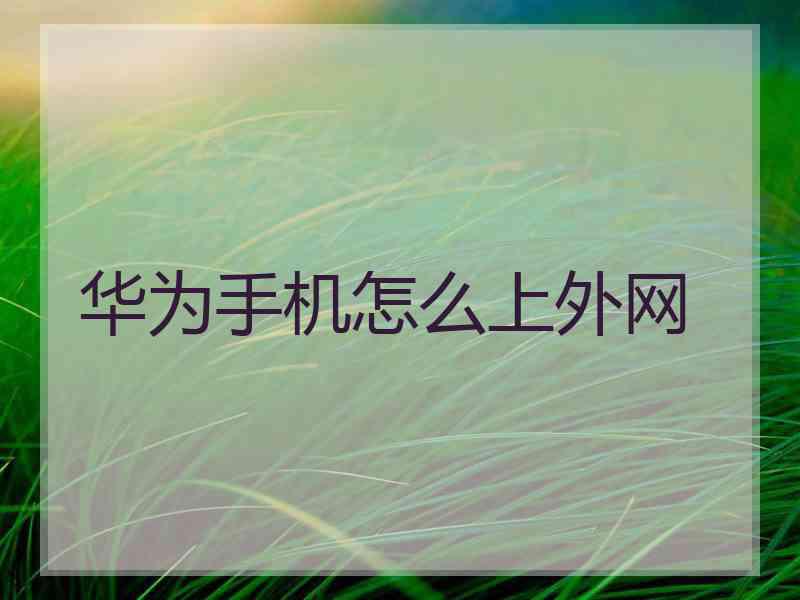 华为手机怎么上外网