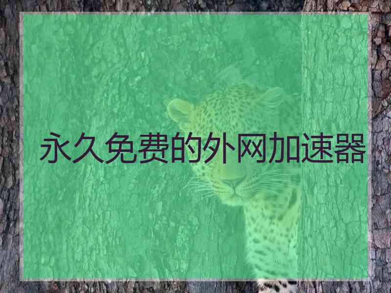 永久免费的外网加速器