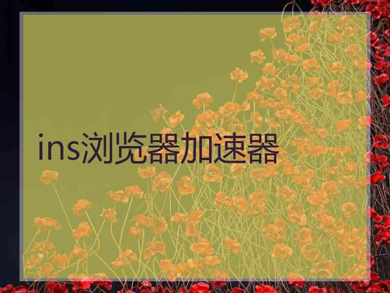 ins浏览器加速器