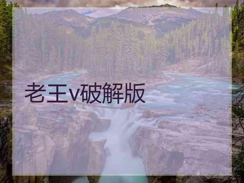 老王v破解版