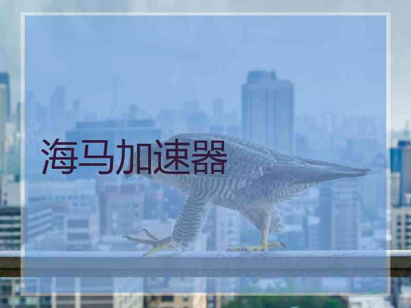 海马加速器