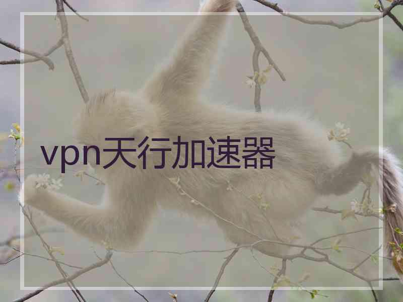 vpn天行加速器