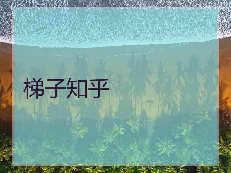 梯子知乎