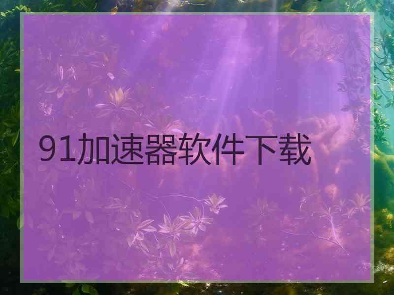 91加速器软件下载