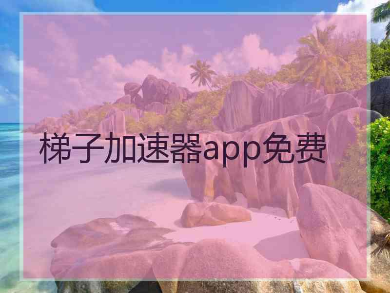 梯子加速器app免费