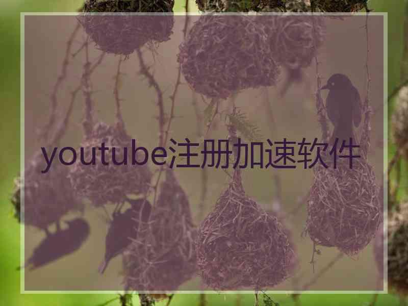 youtube注册加速软件