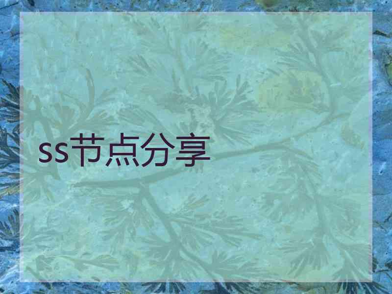 ss节点分享