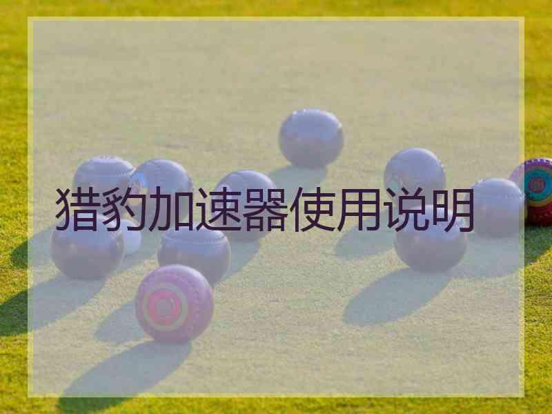 猎豹加速器使用说明