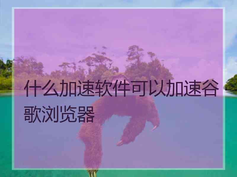 什么加速软件可以加速谷歌浏览器