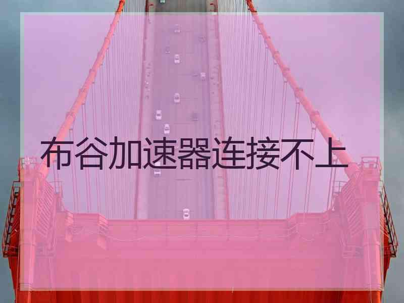 布谷加速器连接不上