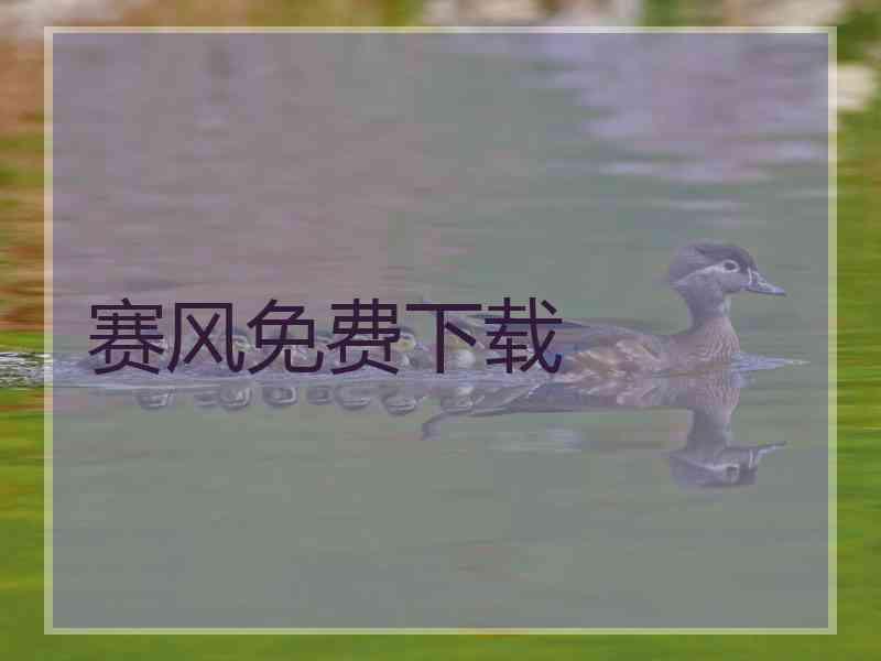 赛风免费下载