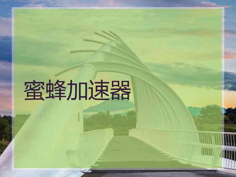 蜜蜂加速器