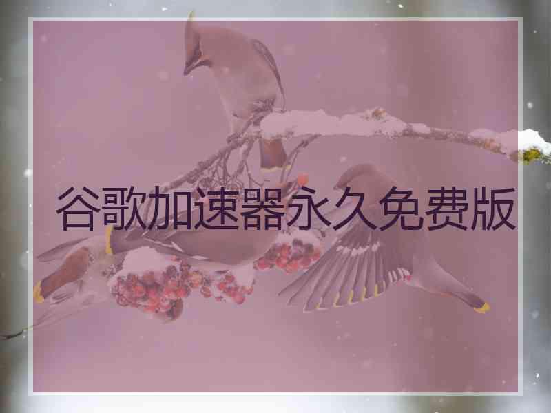 谷歌加速器永久免费版