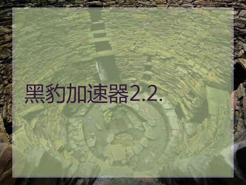 黑豹加速器2.2.